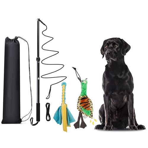 KOXXUD Reizangel Hunde Große Hunde, Profi Reizangel für Kleine Hunde Mittelgroßer Hund Martin Rütter für Ultimativen Spielspaß & Körperliche Auslastung (Seilstreifen + Ente) KOXXUD Reizangel Hunde Große Hunde, Profi Reizangel für Kleine Hunde Mittelgroßer Hund Martin Rütter für Ultimativen Spielspaß & Körperliche Auslastung (Seilstreifen + Ente) von KOXXUD