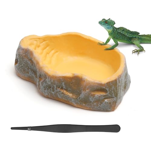 KQDRAVINE Reptilien Wasserschale, Terrarium Trinknapf, Futterschale für Schildkröte, Schlange, Gecko KQDRAVINE Reptilien Wasserschale, Terrarium Trinknapf, Futterschale für Schildkröte, Schlange, Gecko von KQDRAVINE