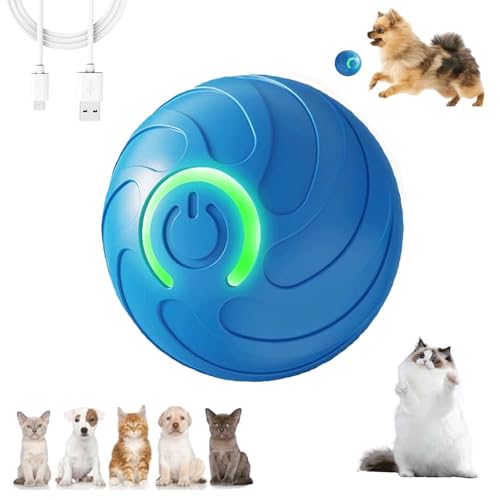 Interaktiver Ball für Hunde, interaktives Spielzeug für Welpen, wiederaufladbar über USB, elektrisches Spielzeug, intelligent, automatisch, mit LED-Licht, automatisches Spielzeug für Welpen, klein und Interaktiver Ball für Hunde, interaktives Spielzeug für Welpen, wiederaufladbar über USB, elektrisches Spielzeug, intelligent, automatisch, mit LED-Licht, automatisches Spielzeug für Welpen, klein und von KQLHLHDYZ