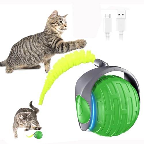 Interaktives Katzenspielzeug, intelligentes Katzenspielzeug, elektrisch, wiederaufladbar, mit Ersatzschwanz und LED-Licht für kleine und mittelgroße Hunde und Katzen Interaktives Katzenspielzeug, intelligentes Katzenspielzeug, elektrisch, wiederaufladbar, mit Ersatzschwanz und LED-Licht für kleine und mittelgroße Hunde und Katzen von KQLHLHDYZ