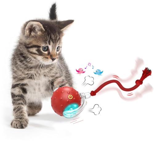 KQLHLHDYZ Interaktiver Katzenspielzeug-Ball, elektrisch, automatisches Spielzeug für Indoor-Katzen, 2 Modi, unregelmäßige Bewegung, Katzenspielzeug für Indoor-Katzen, Erwachsene, alle Böden und KQLHLHDYZ Interaktiver Katzenspielzeug-Ball, elektrisch, automatisches Spielzeug für Indoor-Katzen, 2 Modi, unregelmäßige Bewegung, Katzenspielzeug für Indoor-Katzen, Erwachsene, alle Böden und von KQLHLHDYZ