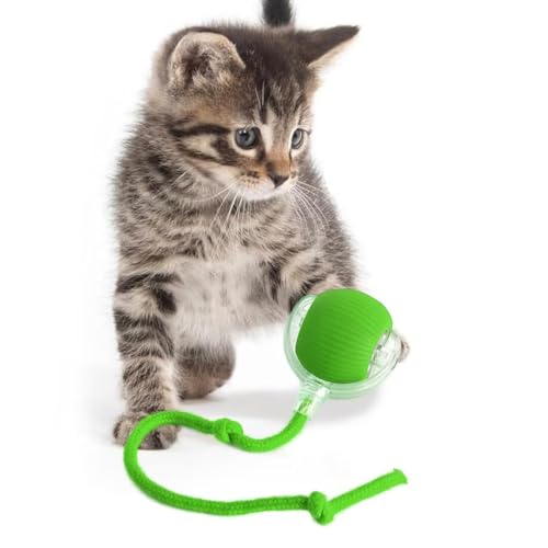 KQLHLHDYZ Interaktiver Katzenspielzeug-Ball, elektrisch, automatisches Spielzeug für Indoor-Katzen, 3 Modi, unregelmäßige Bewegung, Katzenspielzeug für Indoor-Katzen, Erwachsene, alle Böden und KQLHLHDYZ Interaktiver Katzenspielzeug-Ball, elektrisch, automatisches Spielzeug für Indoor-Katzen, 3 Modi, unregelmäßige Bewegung, Katzenspielzeug für Indoor-Katzen, Erwachsene, alle Böden und von KQLHLHDYZ