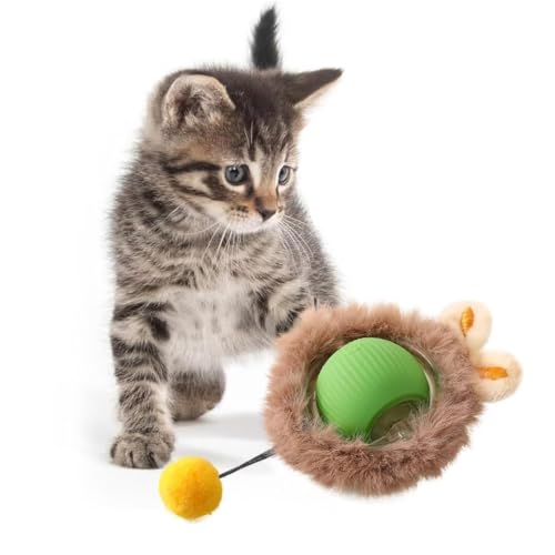 KQLHLHDYZ Interaktiver Katzenspielzeug-Ball, elektrisch, automatisches Spielzeug für Indoor-Katzen, 3 Modi, unregelmäßige Bewegung, Katzenspielzeug für Indoor-Katzen, Erwachsene, alle Böden und KQLHLHDYZ Interaktiver Katzenspielzeug-Ball, elektrisch, automatisches Spielzeug für Indoor-Katzen, 3 Modi, unregelmäßige Bewegung, Katzenspielzeug für Indoor-Katzen, Erwachsene, alle Böden und von KQLHLHDYZ