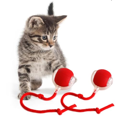 KQLHLHDYZ Interaktives Katzenspielzeug, Ball, Katzenspielzeug für Indoor-Katzen, Erwachsene, Katzenspielzeug, intelligenter Katzenball, Spielzeug für Katzen, Bewegungsmelder, intelligenter KQLHLHDYZ Interaktives Katzenspielzeug, Ball, Katzenspielzeug für Indoor-Katzen, Erwachsene, Katzenspielzeug, intelligenter Katzenball, Spielzeug für Katzen, Bewegungsmelder, intelligenter von KQLHLHDYZ