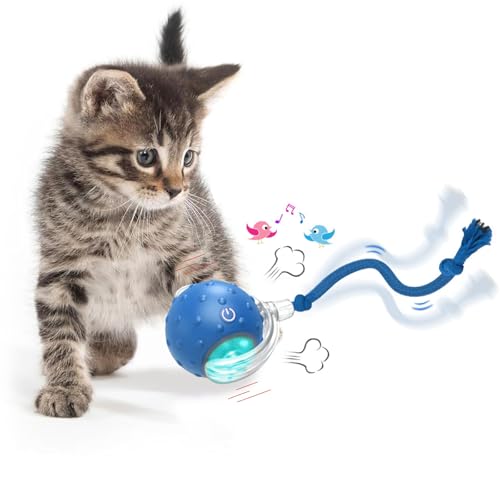 KQLHLHDYZ Interaktives Katzenspielzeug Ball für Indoor-Katzen - Smart Cat Ball Mit Bewegungsmelder für Erwachsene Katzen (Blue8) von KQLHLHDYZ