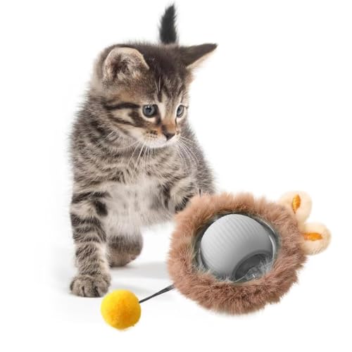KQLHLHDYZ Interaktiver Smart Katzenball für Indoor-Katzen: bewegungsmelder erwachsene spielzeug KQLHLHDYZ Interaktiver Smart Katzenball für Indoor-Katzen: bewegungsmelder erwachsene spielzeug von KQLHLHDYZ
