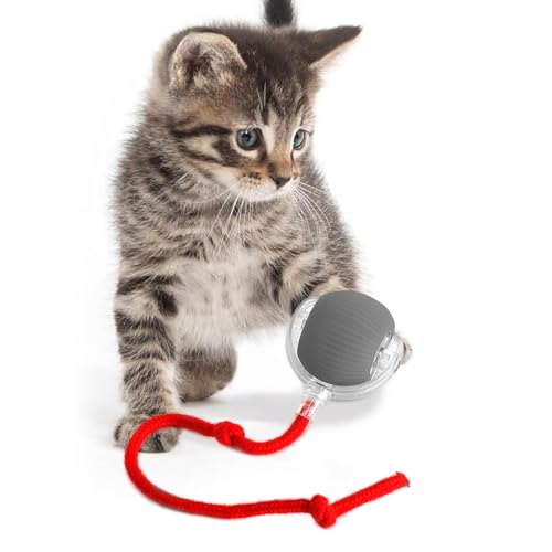 KQLHLHDYZ Interaktives Katzenspielzeug - Smart Cat Ball Spielzeug für Katzen mit Bewegungsmelder KQLHLHDYZ Interaktives Katzenspielzeug - Smart Cat Ball Spielzeug für Katzen mit Bewegungsmelder von KQLHLHDYZ