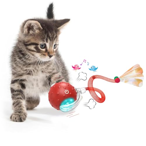 KQLHLHDYZ Interaktives Katzenspielzeug Ball Katzenspielzeug für Indoor Katzen Erwachsene Katzenspielzeug Smart Cat Ball Spielzeug für Katzen Bewegungsmelder Smart Pet Ball KQLHLHDYZ Interaktives Katzenspielzeug Ball Katzenspielzeug für Indoor Katzen Erwachsene Katzenspielzeug Smart Cat Ball Spielzeug für Katzen Bewegungsmelder Smart Pet Ball von KQLHLHDYZ