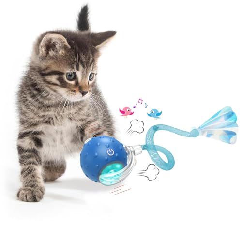 KQLHLHDYZ Interaktives Katzenspielzeug Ball Katzenspielzeug für Indoor Katzen Erwachsene Katzenspielzeug Smart Cat Ball Spielzeug für Katzen Bewegungsmelder Smart Pet Ball KQLHLHDYZ Interaktives Katzenspielzeug Ball Katzenspielzeug für Indoor Katzen Erwachsene Katzenspielzeug Smart Cat Ball Spielzeug für Katzen Bewegungsmelder Smart Pet Ball von KQLHLHDYZ