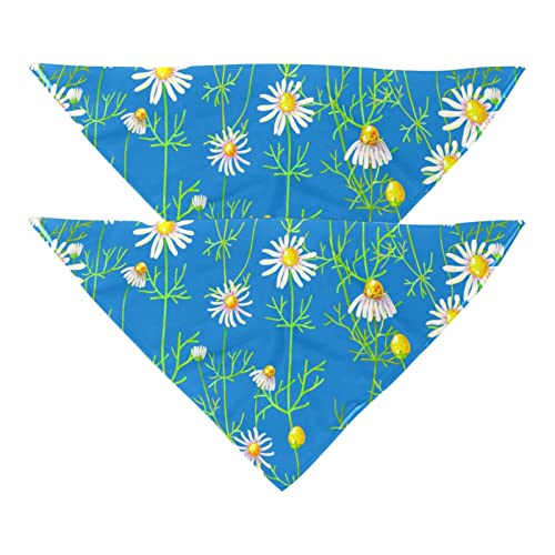 2er-Pack Bandana-Set für Besitzer und Hund, Bandana oder Schal-Set für Mama/Papa des Haustiers, passende Bandanas für die Familie,Weiße Frühlings Blumengänseblümchen Blume blau von KQNZT