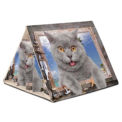 Hamsterversteck, Hamsterhaus, Meerschweinchenversteck, belüftete Lebensräume, Dekor für Chinchilla, Hamster, Rennmäuse, Mäuse,Fenster Katze Meer Strand Meer Sommer Lustig Hamsterversteck, Hamsterhaus, Meerschweinchenversteck, belüftete Lebensräume, Dekor für Chinchilla, Hamster, Rennmäuse, Mäuse,Fenster Katze Meer Strand Meer Sommer Lustig von KQNZT