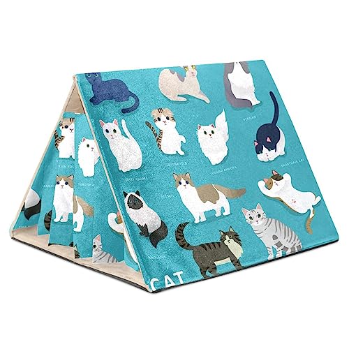 Hamsterversteck, Hamsterhaus, Meerschweinchenversteck, belüftete Lebensräume, Dekor für Chinchilla, Hamster, Rennmäuse, Mäuse,Karikatur Katzen tierisches reizendes Haustier Hamsterversteck, Hamsterhaus, Meerschweinchenversteck, belüftete Lebensräume, Dekor für Chinchilla, Hamster, Rennmäuse, Mäuse,Karikatur Katzen tierisches reizendes Haustier von KQNZT