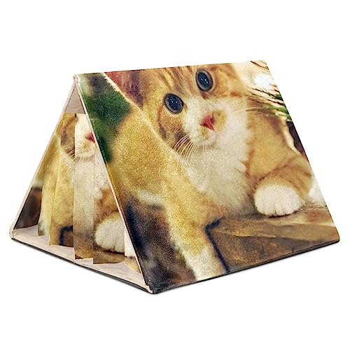 Hamsterversteck, Hamsterhaus, Meerschweinchenversteck, belüftete Lebensräume, Dekor für Chinchilla, Hamster, Rennmäuse, Mäuse,Orange Katze Schönes Tier Hamsterversteck, Hamsterhaus, Meerschweinchenversteck, belüftete Lebensräume, Dekor für Chinchilla, Hamster, Rennmäuse, Mäuse,Orange Katze Schönes Tier von KQNZT