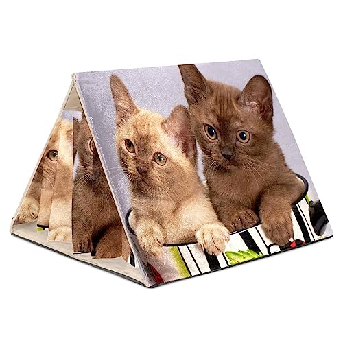Hamsterversteck, Hamsterhaus, Meerschweinchenversteck, belüftete Lebensräume, Dekor für Chinchilla, Hamster, Rennmäuse, Mäuse,Paar Katzen Tiere Hamsterversteck, Hamsterhaus, Meerschweinchenversteck, belüftete Lebensräume, Dekor für Chinchilla, Hamster, Rennmäuse, Mäuse,Paar Katzen Tiere von KQNZT