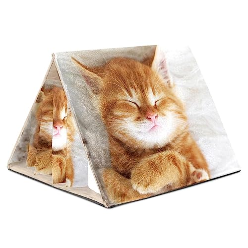 Hamsterversteck, Hamsterhaus, Meerschweinchenversteck, belüftete Lebensräume, Dekor für Chinchilla, Hamster, Rennmäuse, Mäuse,Schöne tierische orange Katze Hamsterversteck, Hamsterhaus, Meerschweinchenversteck, belüftete Lebensräume, Dekor für Chinchilla, Hamster, Rennmäuse, Mäuse,Schöne tierische orange Katze von KQNZT