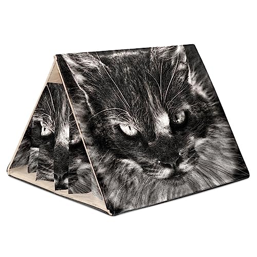 Hamsterversteck, Hamsterhaus, Meerschweinchenversteck, belüftete Lebensräume, Dekor für Chinchilla, Hamster, Rennmäuse, Mäuse,Schwarze Katze Hamsterversteck, Hamsterhaus, Meerschweinchenversteck, belüftete Lebensräume, Dekor für Chinchilla, Hamster, Rennmäuse, Mäuse,Schwarze Katze von KQNZT