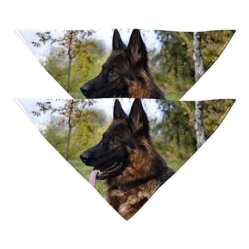 Haustier-Bandanas-Set, 2er-Pack Hundeschal-Lätzchen für Besitzer Kleiner, mittelgroßer und großer Hunde und Katzen,Deutscher Schäferhund von KQNZT