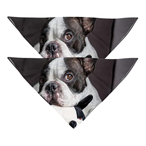 Hundehalstücher, 2er-Pack Haustierschal, Haustierzubehör, süße Welpenhalstücher,Französische Bulldogge Tier reizendes Haustier Hundehalstücher, 2er-Pack Haustierschal, Haustierzubehör, süße Welpenhalstücher,Französische Bulldogge Tier reizendes Haustier von KQNZT