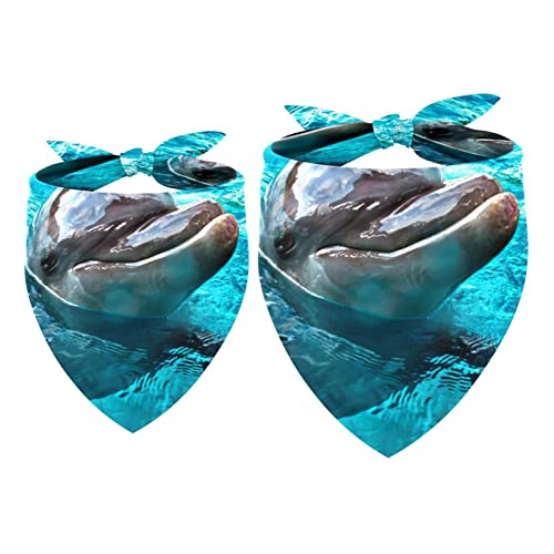 Hundehalstücher, 2er-Pack Haustierschal, Haustierzubehör, süße Welpenhalstücher,Ozean Delphin reizendes Tier von KQNZT