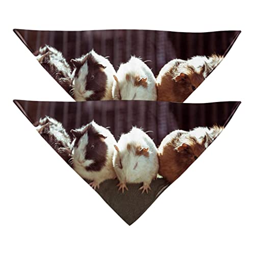 Hundehalstücher, 2er-Pack Haustierschal, Haustierzubehör, süße Welpenhalstücher,Reizendes Tier Meerschweinchen Hundehalstücher, 2er-Pack Haustierschal, Haustierzubehör, süße Welpenhalstücher,Reizendes Tier Meerschweinchen von KQNZT
