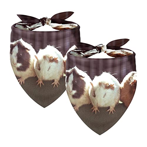 Hundehalstücher, 2er-Pack Haustierschal, Haustierzubehör, süße Welpenhalstücher,Reizendes Tier Meerschweinchen Hundehalstücher, 2er-Pack Haustierschal, Haustierzubehör, süße Welpenhalstücher,Reizendes Tier Meerschweinchen von KQNZT