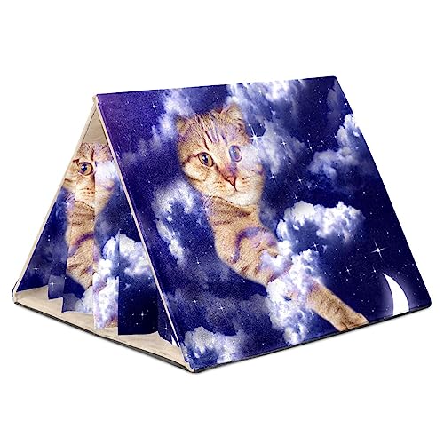 KQNZT Hamsterversteck, Hamsterhaus, Meerschweinchenversteck, belüftete Lebensräume, Dekor für Chinchilla, Hamster, Rennmäuse, Mäuse,Galaxy Cat Lila Universum Sternenhimmel Milchstraße Lustig KQNZT Hamsterversteck, Hamsterhaus, Meerschweinchenversteck, belüftete Lebensräume, Dekor für Chinchilla, Hamster, Rennmäuse, Mäuse,Galaxy Cat Lila Universum Sternenhimmel Milchstraße Lustig von KQNZT