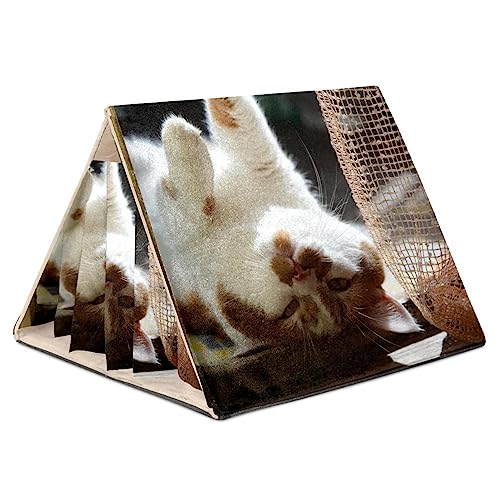 KQNZT Hamsterversteck, Hamsterhaus, Meerschweinchenversteck, belüftete Lebensräume, Dekor für Chinchilla, Hamster, Rennmäuse, Mäuse,Liegendes Katzentier KQNZT Hamsterversteck, Hamsterhaus, Meerschweinchenversteck, belüftete Lebensräume, Dekor für Chinchilla, Hamster, Rennmäuse, Mäuse,Liegendes Katzentier von KQNZT