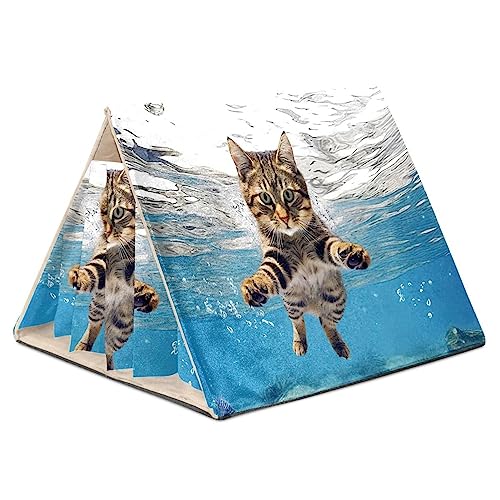 KQNZT Hamsterversteck, Hamsterhaus, Meerschweinchenversteck, belüftete Lebensräume, Dekor für Chinchilla, Hamster, Rennmäuse, Mäuse,Ozean-Sommer-Schwimmen-Tier-Katze reizend KQNZT Hamsterversteck, Hamsterhaus, Meerschweinchenversteck, belüftete Lebensräume, Dekor für Chinchilla, Hamster, Rennmäuse, Mäuse,Ozean-Sommer-Schwimmen-Tier-Katze reizend von KQNZT