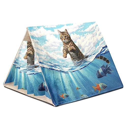 KQNZT Hamsterversteck, Hamsterhaus, Meerschweinchenversteck, belüftete Lebensräume, Dekor für Chinchilla, Hamster, Rennmäuse, Mäuse,Tropischer Ozean-Sommer-Schwimmtier-Katze und Fisch KQNZT Hamsterversteck, Hamsterhaus, Meerschweinchenversteck, belüftete Lebensräume, Dekor für Chinchilla, Hamster, Rennmäuse, Mäuse,Tropischer Ozean-Sommer-Schwimmtier-Katze und Fisch von KQNZT