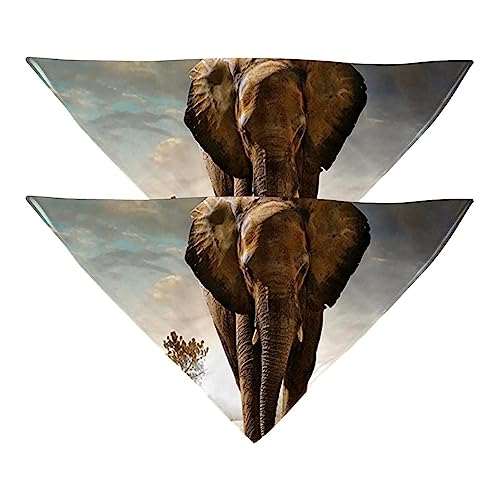 Passendes Bandana für Haustier und Besitzer, 2er-Pack, hochwertiger, transparenter Chiffon-Stoff, verstellbare Passform, kühlend,Afrikanische Tiere Elephant Walk von KQNZT