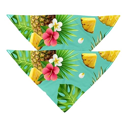 Passendes Bandana für Haustier und Besitzer, 2er-Pack, hochwertiger, transparenter Chiffon-Stoff, verstellbare Passform, kühlend,Ananas Tropische Blume von KQNZT