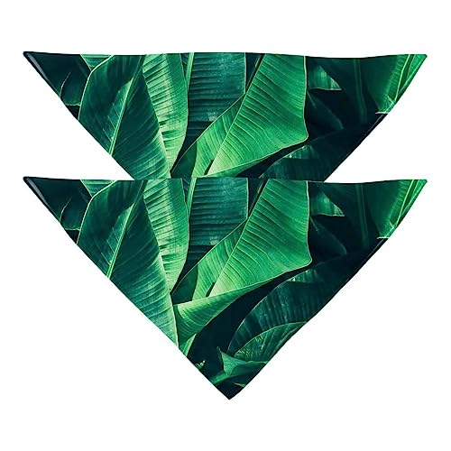 Passendes Bandana für Haustier und Besitzer, 2er-Pack, hochwertiger, transparenter Chiffon-Stoff, verstellbare Passform, kühlend,Bananenblatt grün tropisch Passendes Bandana für Haustier und Besitzer, 2er-Pack, hochwertiger, transparenter Chiffon-Stoff, verstellbare Passform, kühlend,Bananenblatt grün tropisch von KQNZT