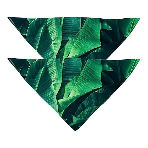Passendes Bandana für Haustier und Besitzer, 2er-Pack, hochwertiger, transparenter Chiffon-Stoff, verstellbare Passform, kühlend,Bananenblatt grün tropisch von KQNZT