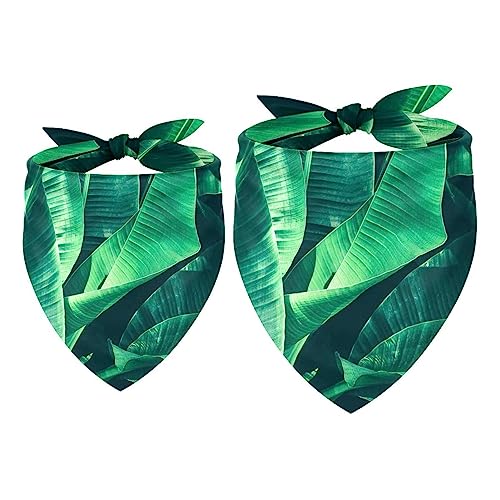 Passendes Bandana für Haustier und Besitzer, 2er-Pack, hochwertiger, transparenter Chiffon-Stoff, verstellbare Passform, kühlend,Bananenblatt grün tropisch Passendes Bandana für Haustier und Besitzer, 2er-Pack, hochwertiger, transparenter Chiffon-Stoff, verstellbare Passform, kühlend,Bananenblatt grün tropisch von KQNZT