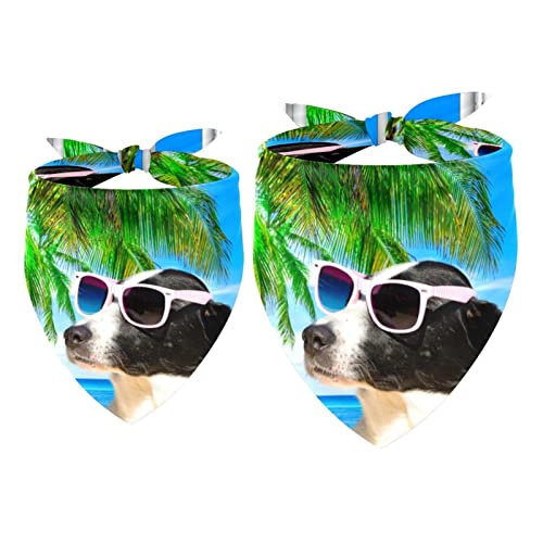 Passendes Bandana für Haustier und Besitzer, 2er-Pack, hochwertiger, transparenter Chiffon-Stoff, verstellbare Passform, kühlend,Fenster Hund Meer Strand Meer Sommer Lustig Passendes Bandana für Haustier und Besitzer, 2er-Pack, hochwertiger, transparenter Chiffon-Stoff, verstellbare Passform, kühlend,Fenster Hund Meer Strand Meer Sommer Lustig von KQNZT