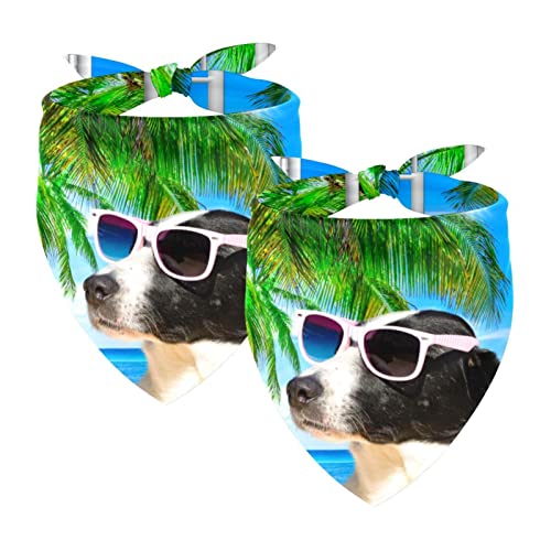Passendes Bandana für Haustier und Besitzer, 2er-Pack, hochwertiger, transparenter Chiffon-Stoff, verstellbare Passform, kühlend,Fenster Hund Meer Strand Meer Sommer Lustig Passendes Bandana für Haustier und Besitzer, 2er-Pack, hochwertiger, transparenter Chiffon-Stoff, verstellbare Passform, kühlend,Fenster Hund Meer Strand Meer Sommer Lustig von KQNZT