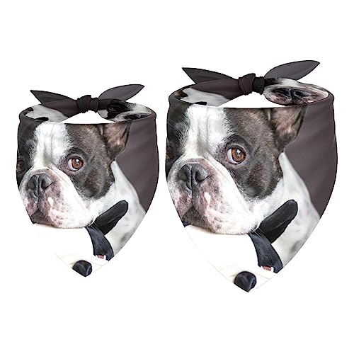 Passendes Bandana für Haustier und Besitzer, 2er-Pack, hochwertiger, transparenter Chiffon-Stoff, verstellbare Passform, kühlend,Französische Bulldogge Tier reizendes Haustier Passendes Bandana für Haustier und Besitzer, 2er-Pack, hochwertiger, transparenter Chiffon-Stoff, verstellbare Passform, kühlend,Französische Bulldogge Tier reizendes Haustier von KQNZT