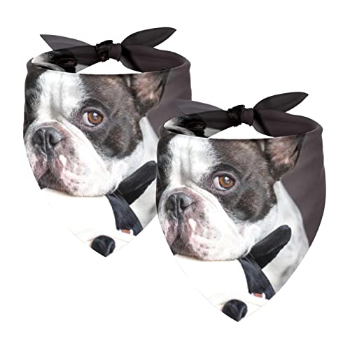Passendes Bandana für Haustier und Besitzer, 2er-Pack, hochwertiger, transparenter Chiffon-Stoff, verstellbare Passform, kühlend,Französische Bulldogge Tier reizendes Haustier Passendes Bandana für Haustier und Besitzer, 2er-Pack, hochwertiger, transparenter Chiffon-Stoff, verstellbare Passform, kühlend,Französische Bulldogge Tier reizendes Haustier von KQNZT