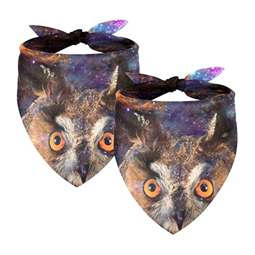 Passendes Bandana für Haustier und Besitzer, 2er-Pack, hochwertiger, transparenter Chiffon-Stoff, verstellbare Passform, kühlend,Galaxie Eule Tieruniversum Sternenhimmel Milchstraße Lustig Passendes Bandana für Haustier und Besitzer, 2er-Pack, hochwertiger, transparenter Chiffon-Stoff, verstellbare Passform, kühlend,Galaxie Eule Tieruniversum Sternenhimmel Milchstraße Lustig von KQNZT