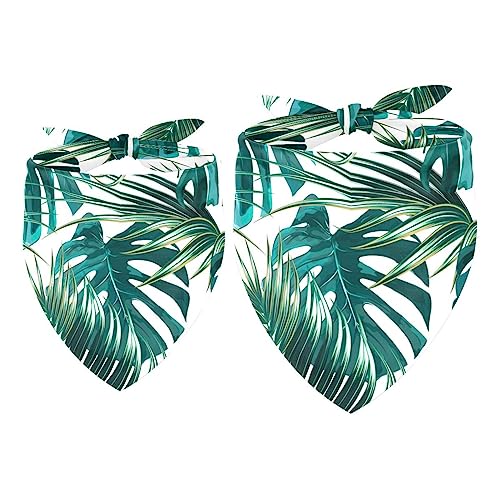 Passendes Bandana für Haustier und Besitzer, 2er-Pack, hochwertiger, transparenter Chiffon-Stoff, verstellbare Passform, kühlend,Grüne Tropische Pflanzen Moderne Weinlese Passendes Bandana für Haustier und Besitzer, 2er-Pack, hochwertiger, transparenter Chiffon-Stoff, verstellbare Passform, kühlend,Grüne Tropische Pflanzen Moderne Weinlese von KQNZT
