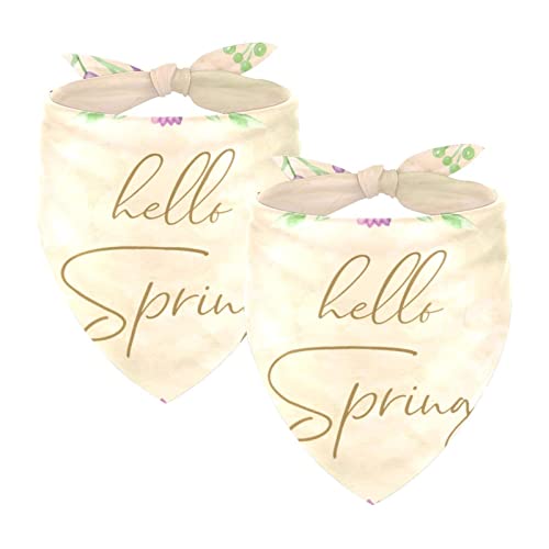Passendes Bandana für Haustier und Besitzer, 2er-Pack, hochwertiger, transparenter Chiffon-Stoff, verstellbare Passform, kühlend,Hallo Frühlingsblume verlassen Blumen Retro Passendes Bandana für Haustier und Besitzer, 2er-Pack, hochwertiger, transparenter Chiffon-Stoff, verstellbare Passform, kühlend,Hallo Frühlingsblume verlassen Blumen Retro von KQNZT