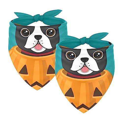 Passendes Bandana für Haustier und Besitzer, 2er-Pack, hochwertiger, transparenter Chiffon-Stoff, verstellbare Passform, kühlend,Karikatur Halloween reizender Hund von KQNZT