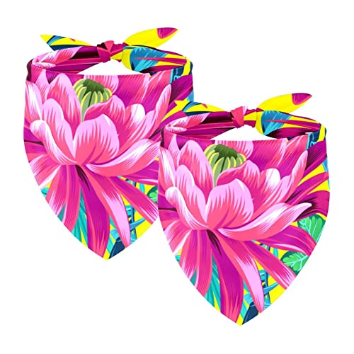 Passendes Bandana für Haustier und Besitzer, 2er-Pack, hochwertiger, transparenter Chiffon-Stoff, verstellbare Passform, kühlend,Moderne Blume tropischer Regenwald Pflanze Lotus Passendes Bandana für Haustier und Besitzer, 2er-Pack, hochwertiger, transparenter Chiffon-Stoff, verstellbare Passform, kühlend,Moderne Blume tropischer Regenwald Pflanze Lotus von KQNZT