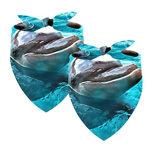 Passendes Bandana für Haustier und Besitzer, 2er-Pack, hochwertiger, transparenter Chiffon-Stoff, verstellbare Passform, kühlend,Ozean Delphin reizendes Tier von KQNZT