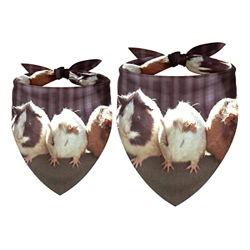 Passendes Bandana für Haustier und Besitzer, 2er-Pack, hochwertiger, transparenter Chiffon-Stoff, verstellbare Passform, kühlend,Reizendes Tier Meerschweinchen Passendes Bandana für Haustier und Besitzer, 2er-Pack, hochwertiger, transparenter Chiffon-Stoff, verstellbare Passform, kühlend,Reizendes Tier Meerschweinchen von KQNZT