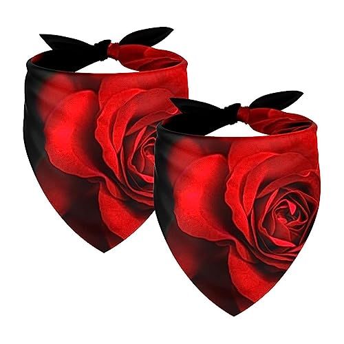 Passendes Bandana für Haustier und Besitzer, 2er-Pack, hochwertiger, transparenter Chiffon-Stoff, verstellbare Passform, kühlend,Rote Rosen Blumen Blume von KQNZT