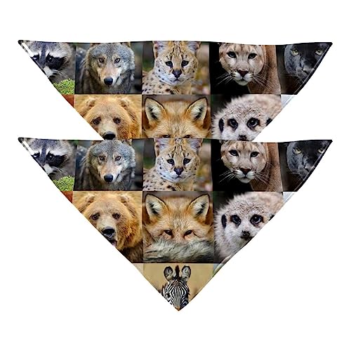 Passendes Bandana für Haustier und Besitzer, 2er-Pack, hochwertiger, transparenter Chiffon-Stoff, verstellbare Passform, kühlend,Tier Bär Elefant Tiger Leopard Zebra von KQNZT