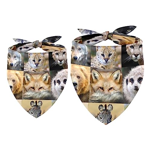 Passendes Bandana für Haustier und Besitzer, 2er-Pack, hochwertiger, transparenter Chiffon-Stoff, verstellbare Passform, kühlend,Tier Bär Elefant Tiger Leopard Zebra Passendes Bandana für Haustier und Besitzer, 2er-Pack, hochwertiger, transparenter Chiffon-Stoff, verstellbare Passform, kühlend,Tier Bär Elefant Tiger Leopard Zebra von KQNZT