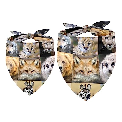 Passendes Bandana für Haustier und Besitzer, 2er-Pack, hochwertiger, transparenter Chiffon-Stoff, verstellbare Passform, kühlend,Tier Bär Elefant Tiger Leopard Zebra von KQNZT