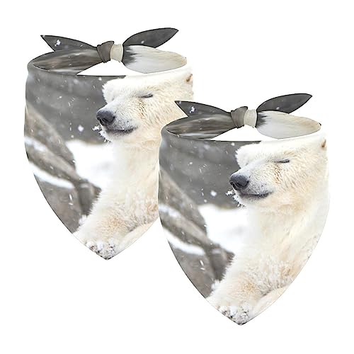 Passendes Bandana für Haustier und Besitzer, 2er-Pack, hochwertiger, transparenter Chiffon-Stoff, verstellbare Passform, kühlend,Tierischer Eisbär Winter Schnee Passendes Bandana für Haustier und Besitzer, 2er-Pack, hochwertiger, transparenter Chiffon-Stoff, verstellbare Passform, kühlend,Tierischer Eisbär Winter Schnee von KQNZT